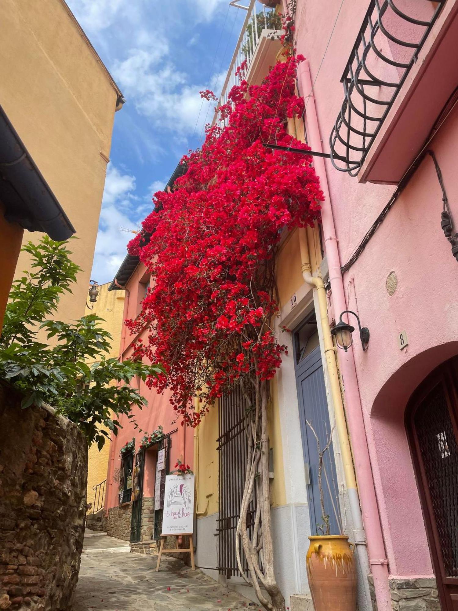 5Rbut1 - Maison Familiale Sur Deux Niveaux En Plein Coeur Du Centre Ville Collioure Exterior foto